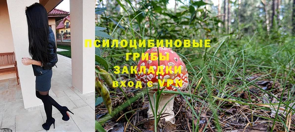 мдма Заводоуковск