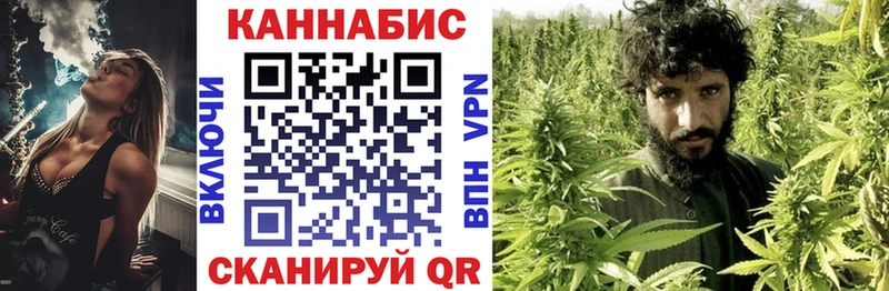 Бошки марихуана семена  Купить закладки  Гурьевск 